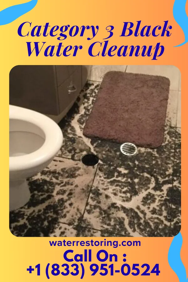 Category 3 Black Water Cleanup in Fountain Run, KY
