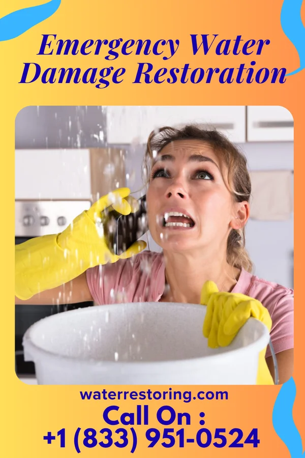 Emergency Water Damage Restoration in Fountain Run, KY