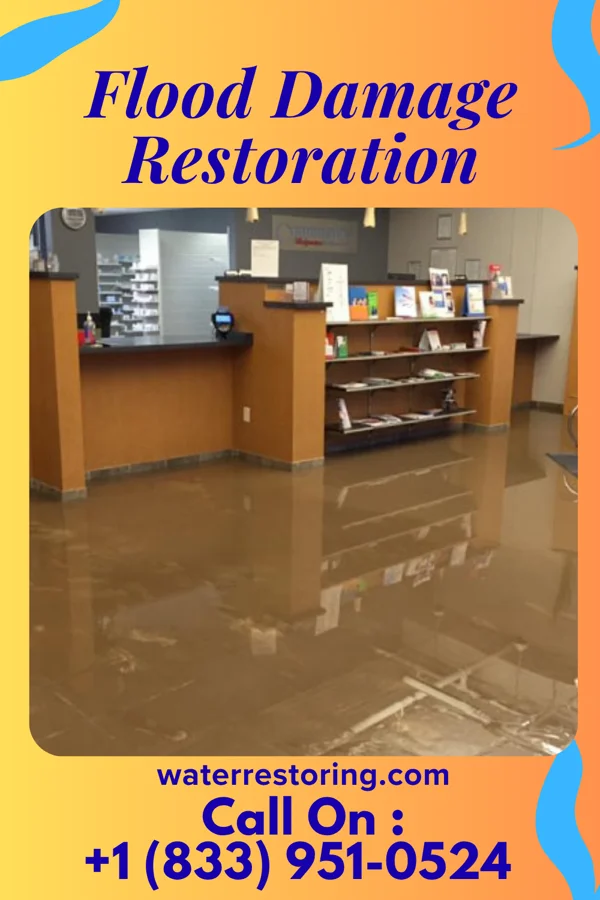 Flood Damage Restoration in Fountain Run, KY