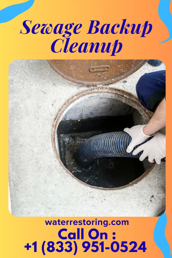 Sewage Backup Cleanup in Fountain Run, KY